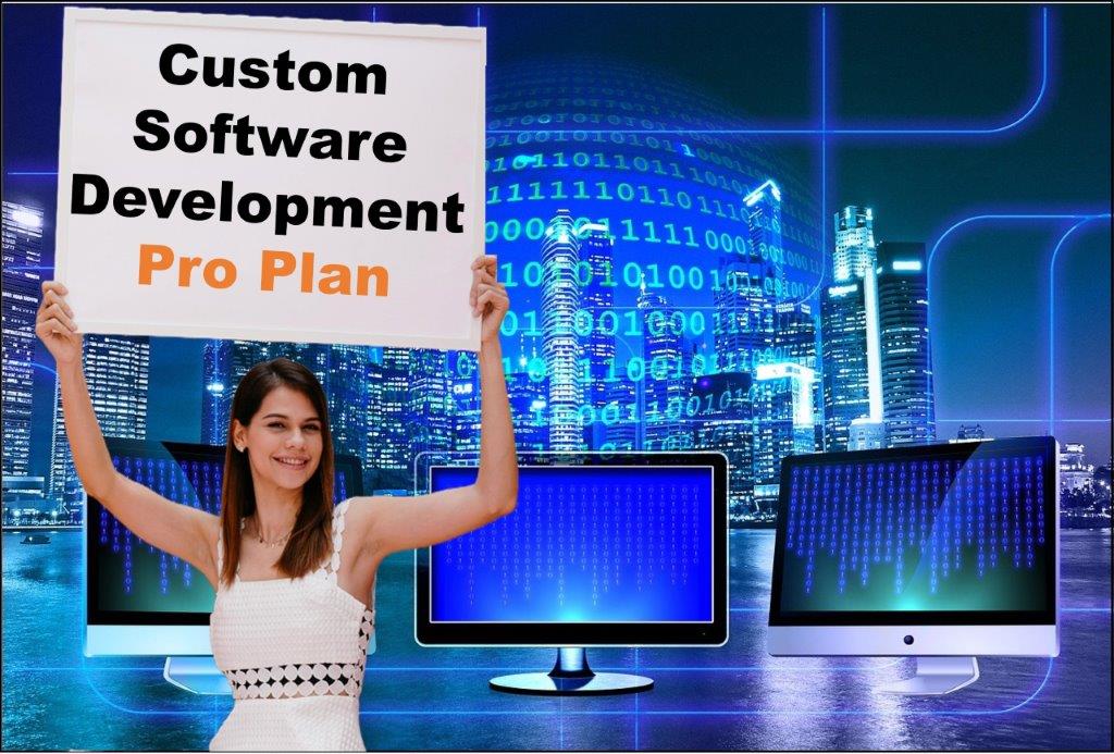 custom software development agency in Atlanta Georgia
