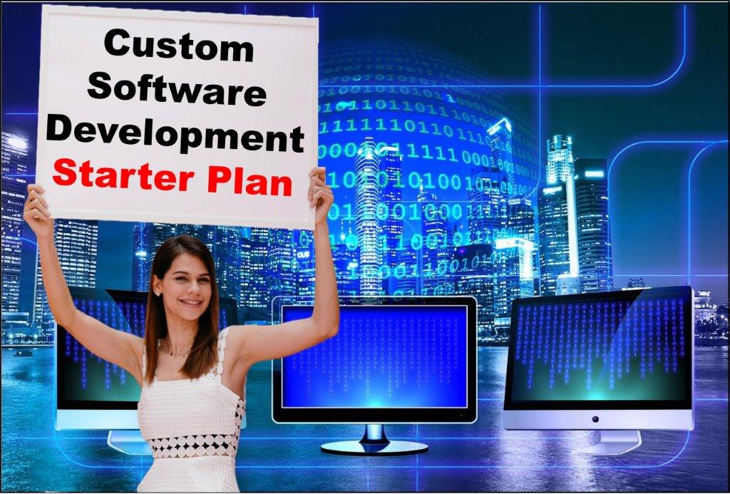 custom software development services in Atlanta Georgia