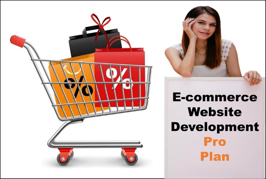 professional ecommerce website development agency in Atlanta Georgia