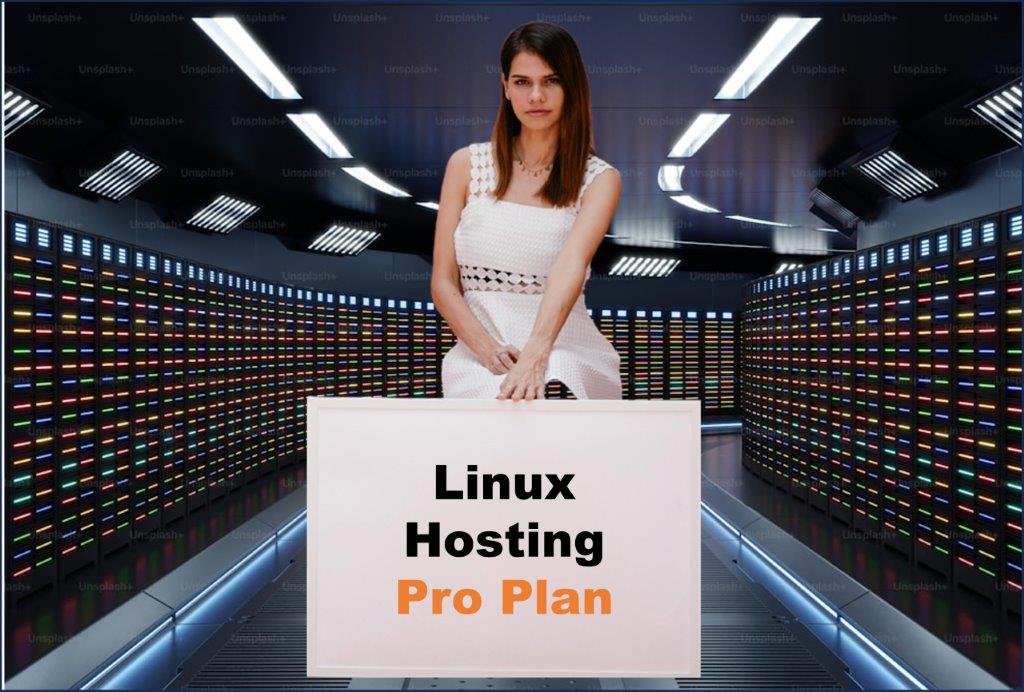 linux hosting windows hosting provider in Atlanta Georgia